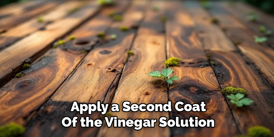 Apply a Second Coat
Of the Vinegar Solution