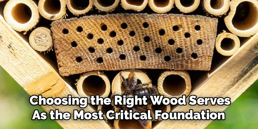 Choosing the Right Wood Serves
As the Most Critical Foundation 
