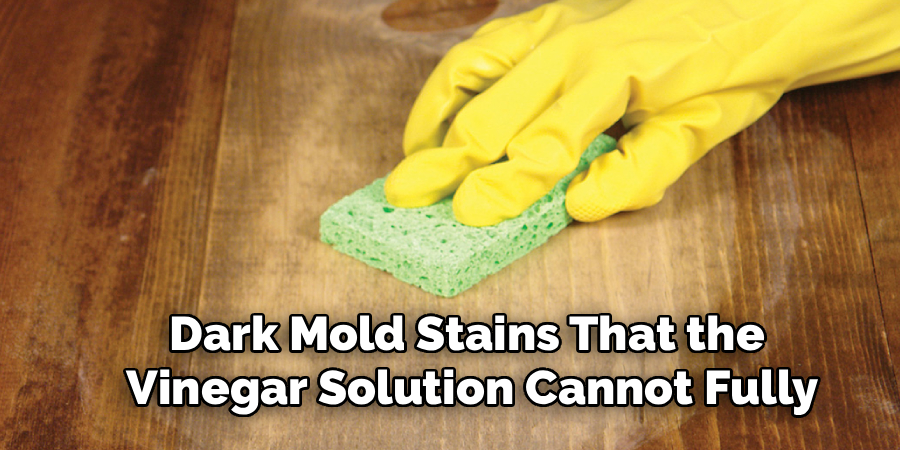 Dark Mold Stains That the 
Vinegar Solution Cannot Fully