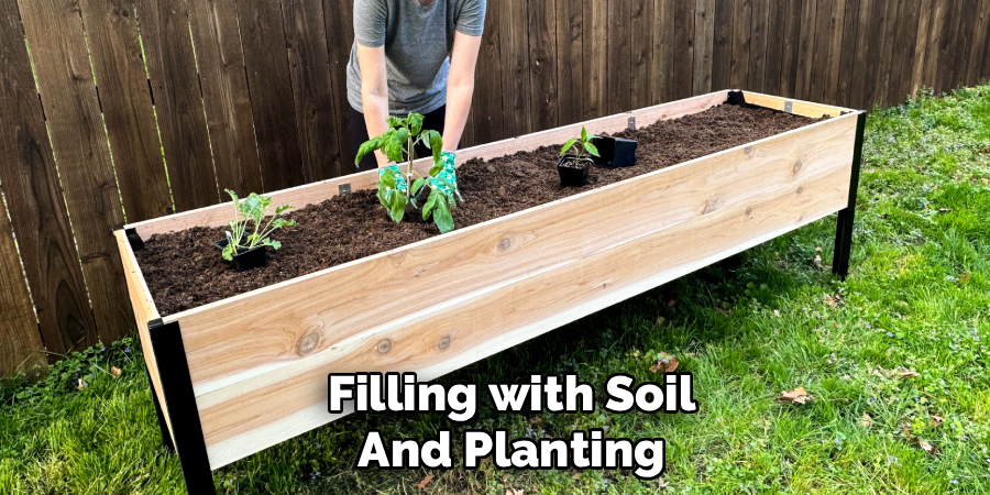 Filling with Soil and Planting