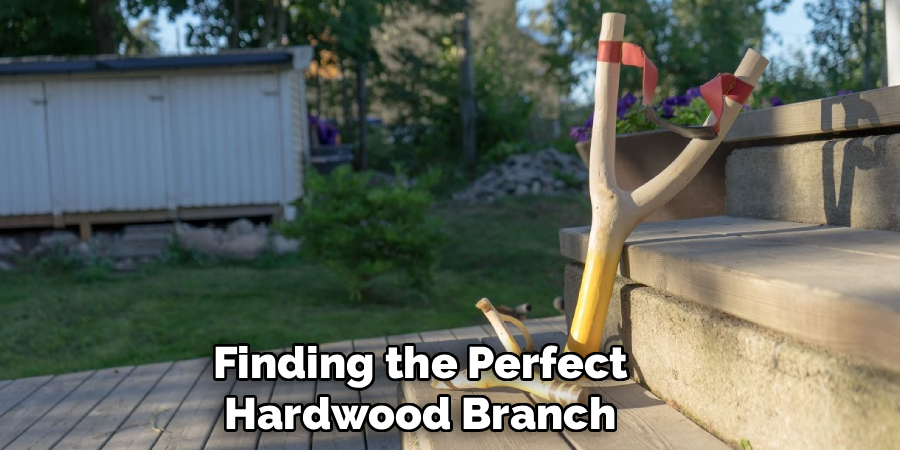 Finding the Perfect Hardwood Branch
