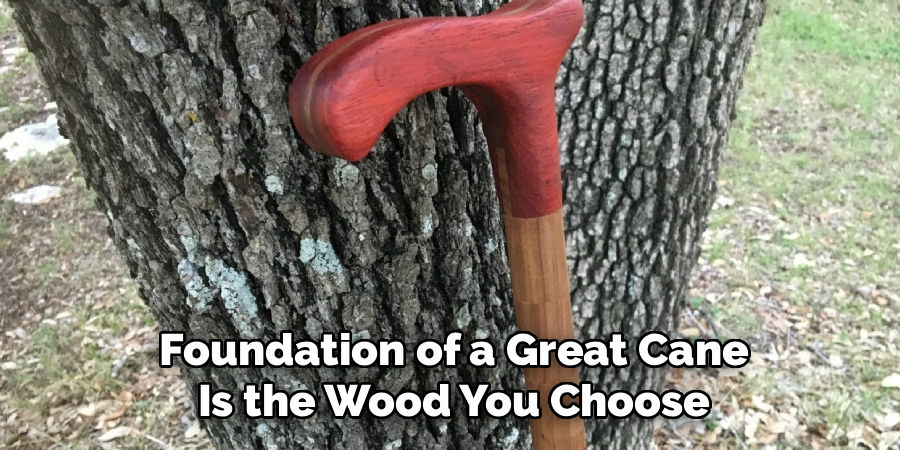 Foundation of a Great Cane
Is the Wood You Choose