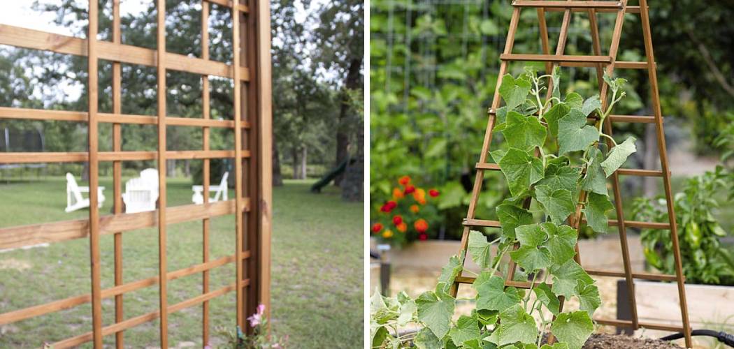 How to Make Wooden Trellis