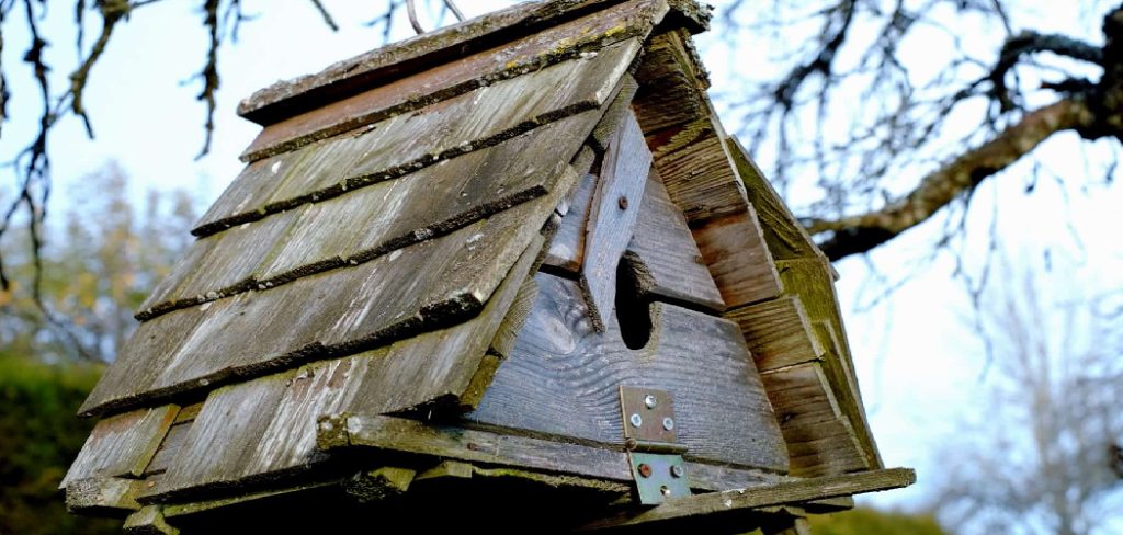 How to Make a Bat House Out of Wood