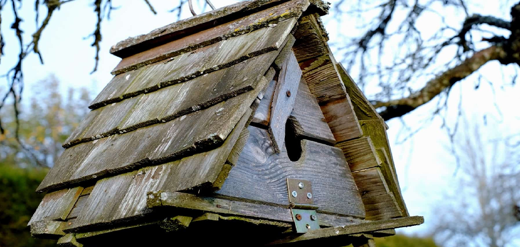 How to Make a Bat House Out of Wood
