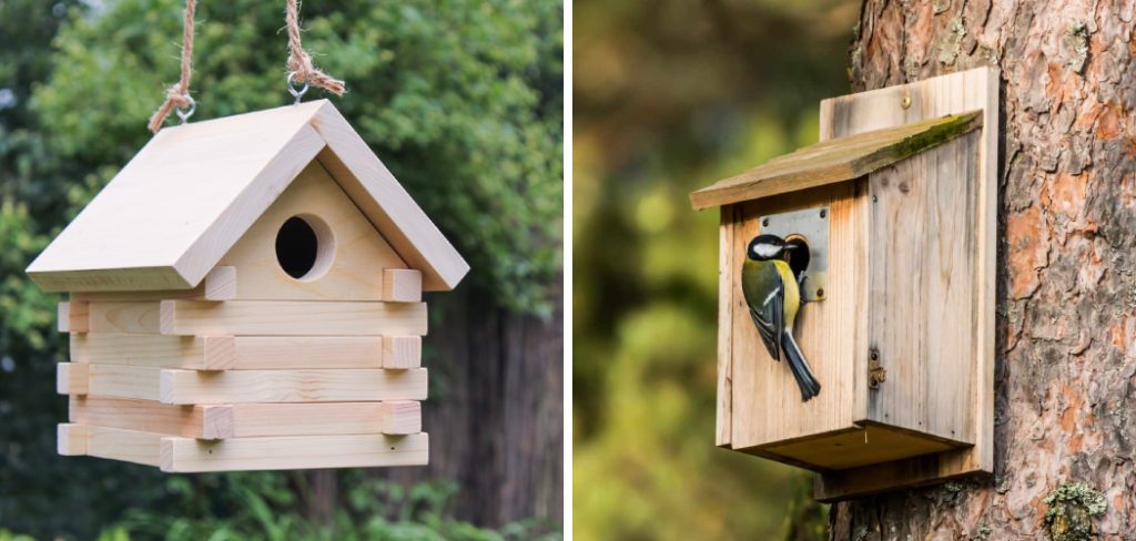How to Make a Bird House Out of Wood