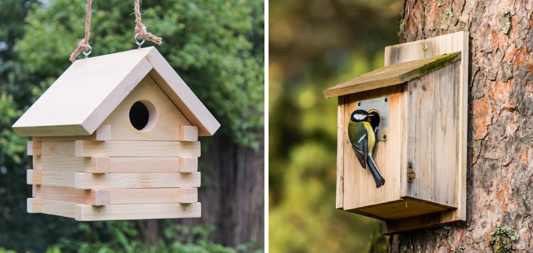 How to Make a Bird House Out of Wood