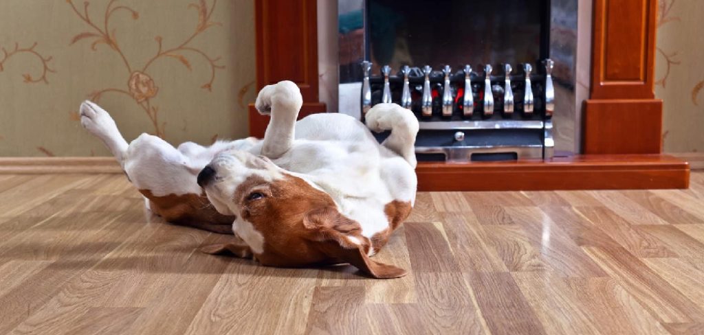 How to Restain Wood Floors