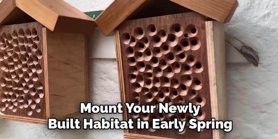 Mount Your Newly
Built Habitat in Early Spring