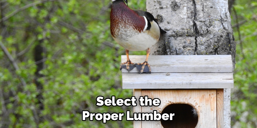 Select the Proper Lumber