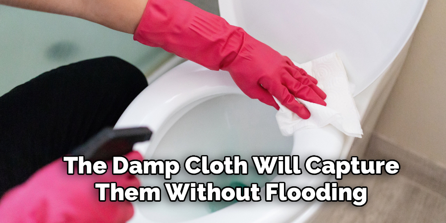 The Damp Cloth Will Capture
Them Without Flooding