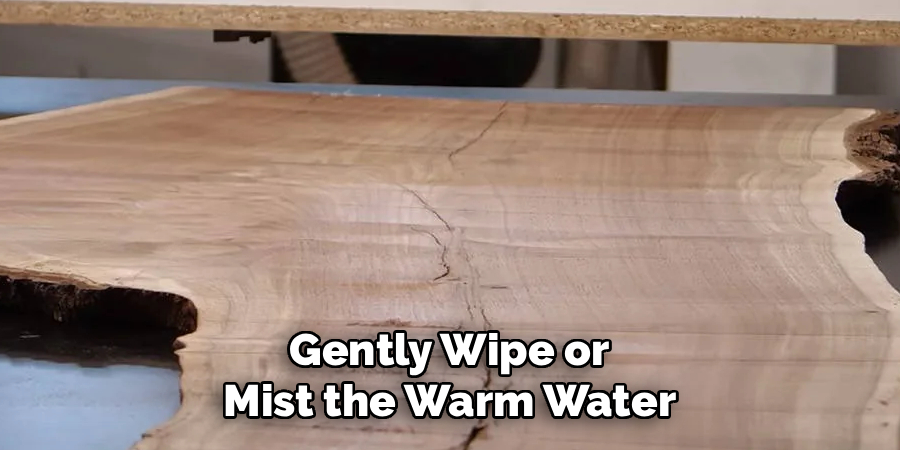 Gently Wipe or
Mist the Warm Water